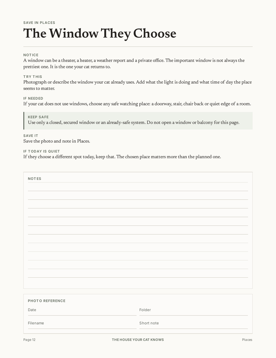 The House Your Cat Knows: page 1 from the shop listing