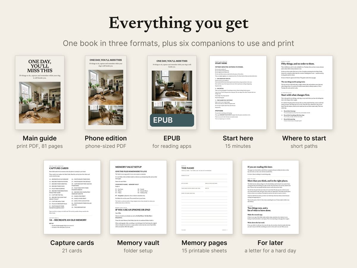 One Day, You’ll Miss This: page 3 from the shop listing