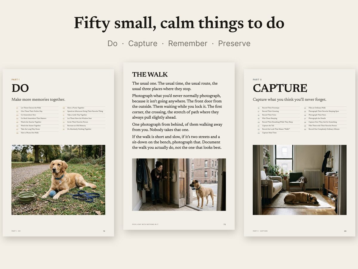 One Day, You’ll Miss This: page 1 from the shop listing