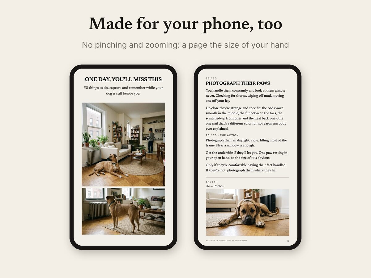 One Day, You’ll Miss This: page 2 from the shop listing